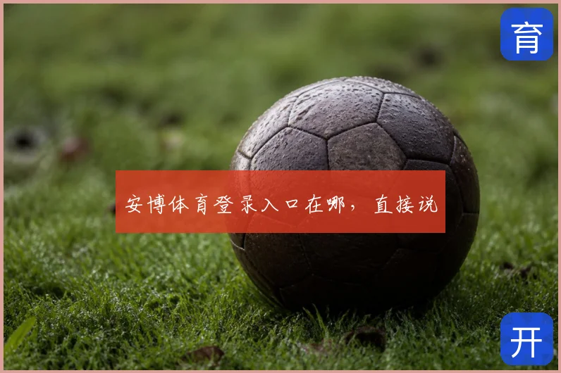 安博体育登录入口在哪,直接说